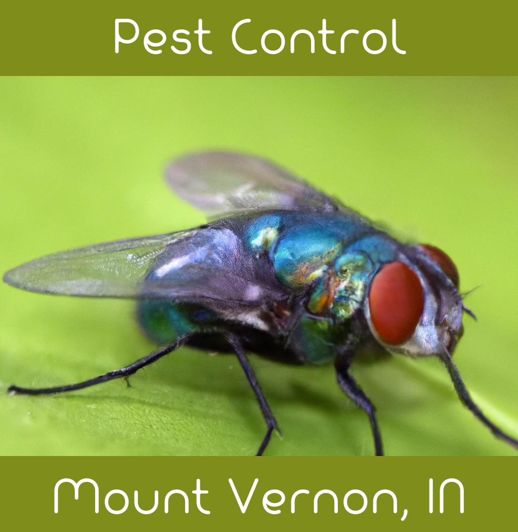 pest control in Mount Vernon Indiana