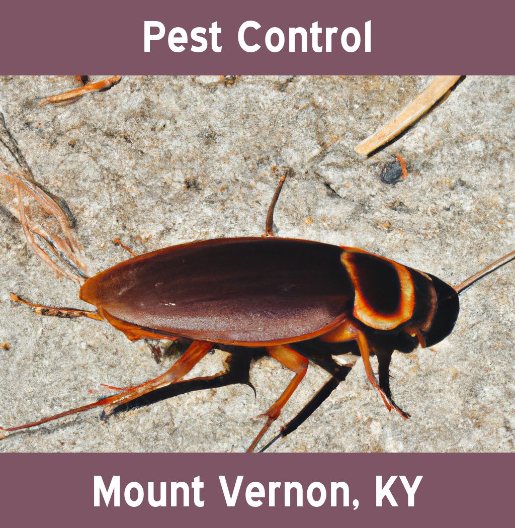 pest control in Mount Vernon Kentucky