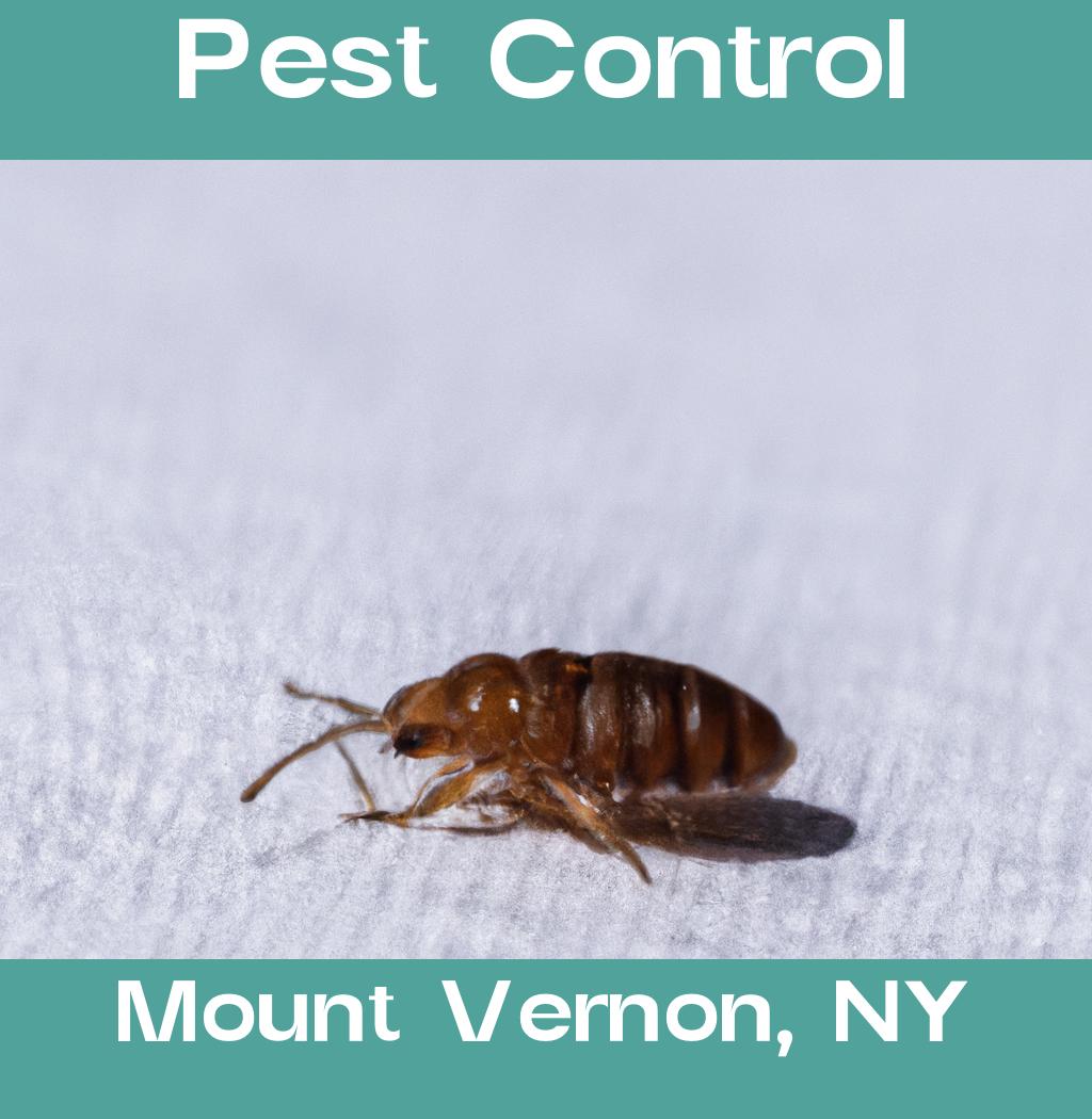 pest control in Mount Vernon New York