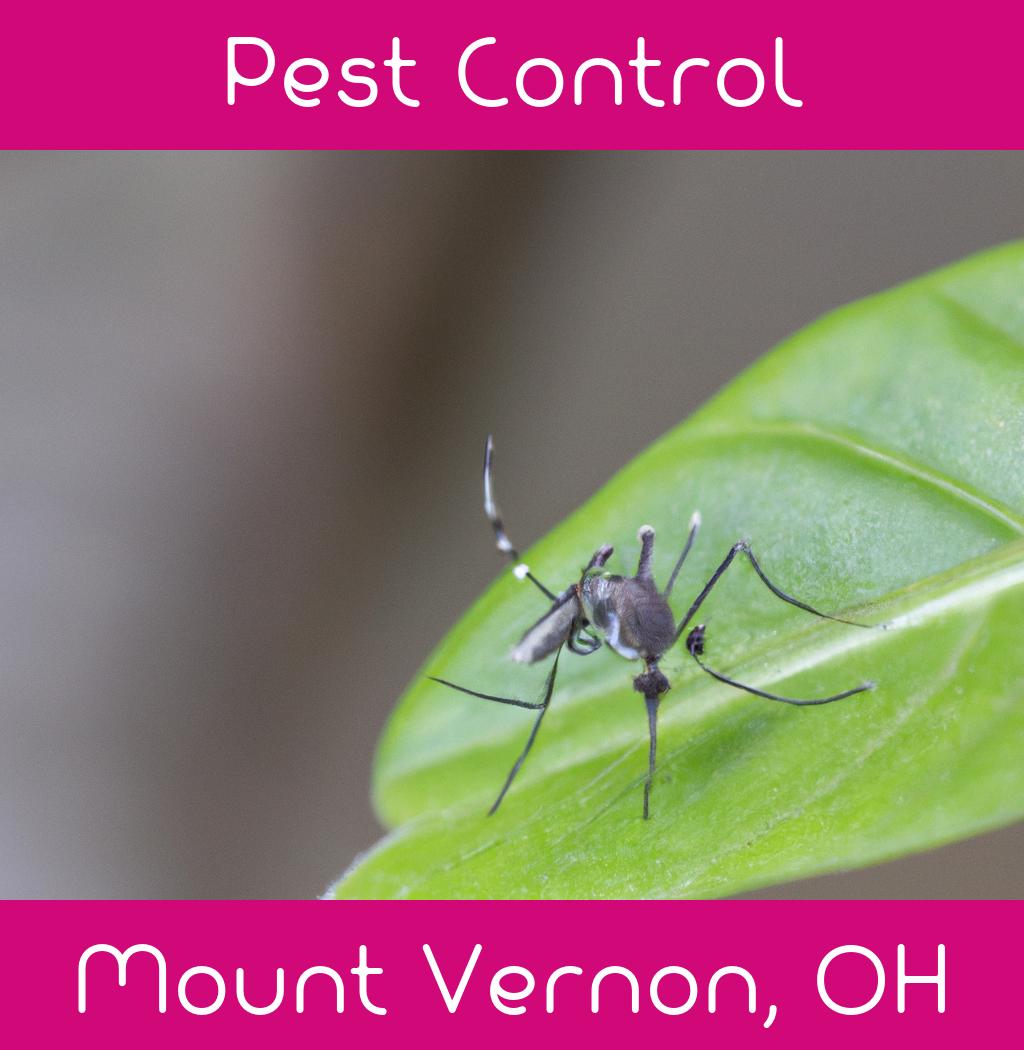 pest control in Mount Vernon Ohio