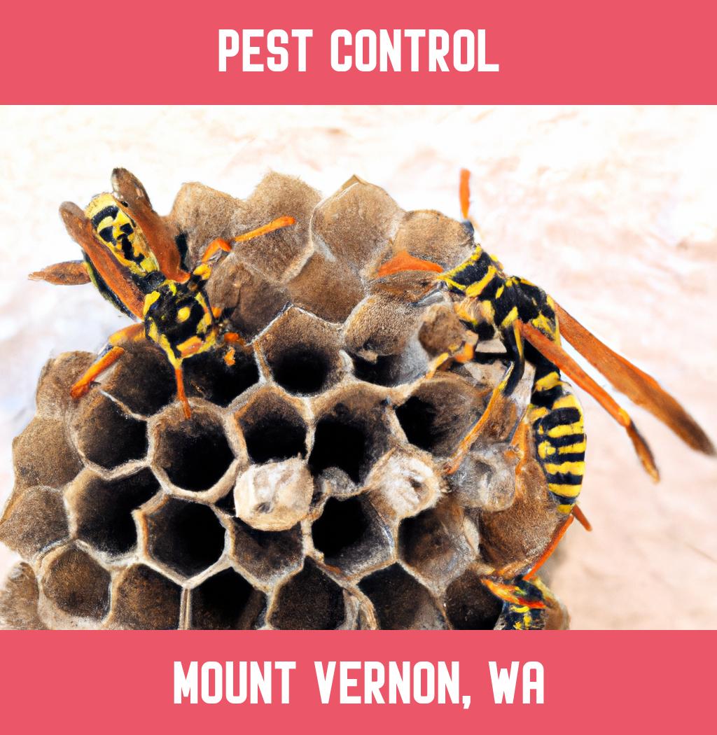 pest control in Mount Vernon Washington