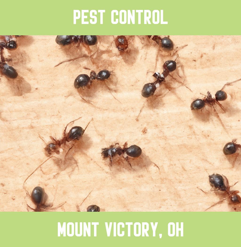 pest control in Mount Victory Ohio