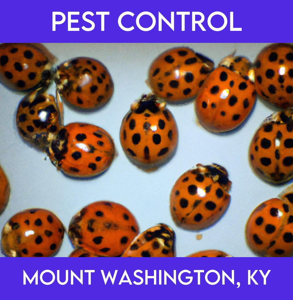 pest control in Mount Washington Kentucky