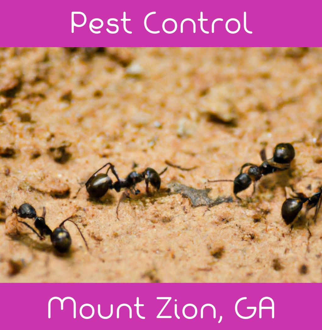 pest control in Mount Zion Georgia