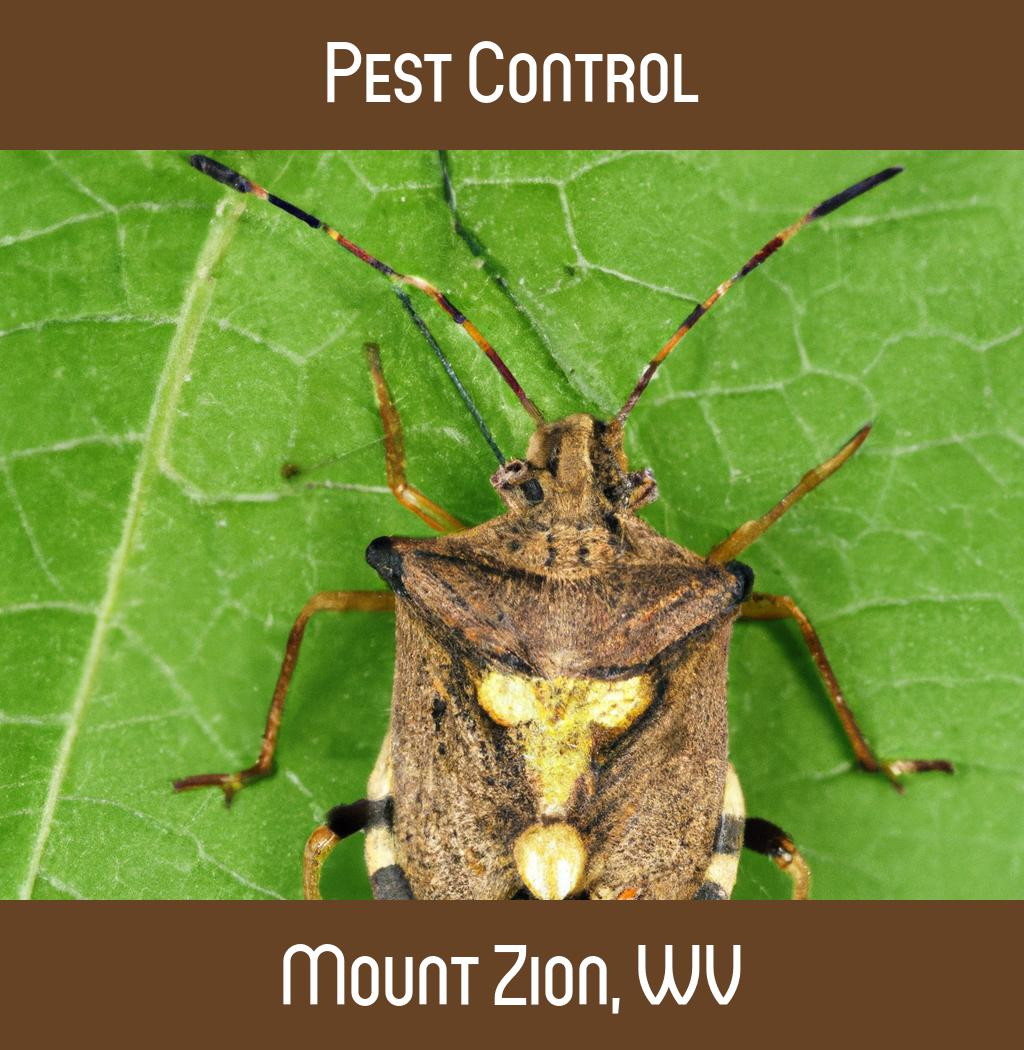 pest control in Mount Zion West Virginia