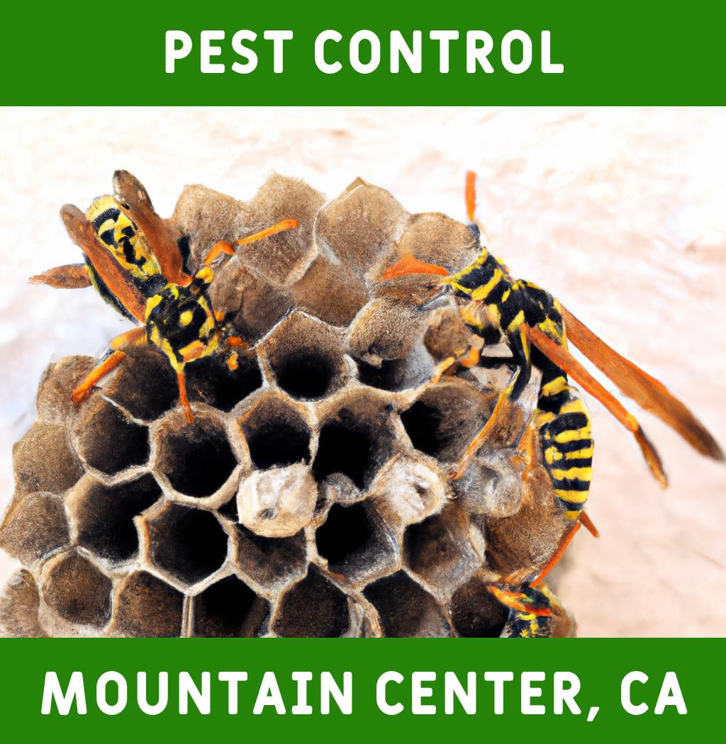 pest control in Mountain Center California