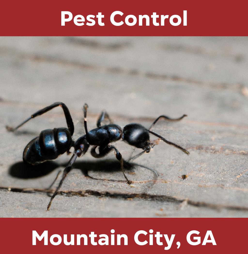 pest control in Mountain City Georgia