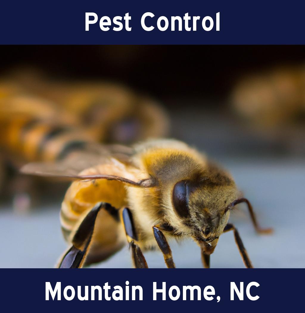 pest control in Mountain Home North Carolina