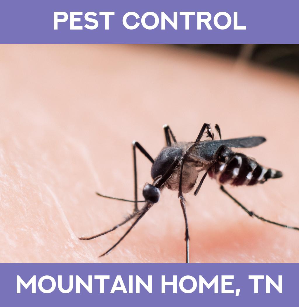 pest control in Mountain Home Tennessee