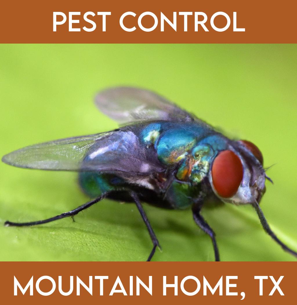 pest control in Mountain Home Texas