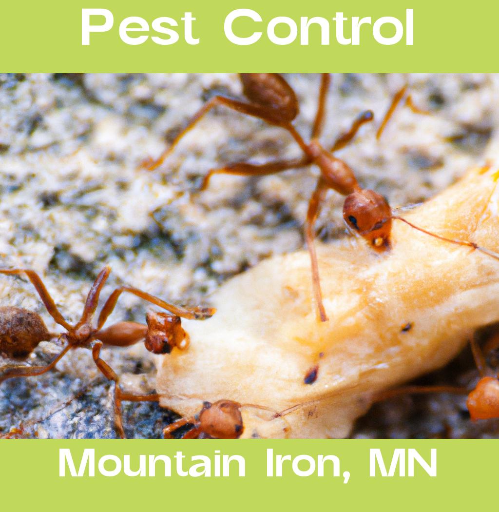 pest control in Mountain Iron Minnesota