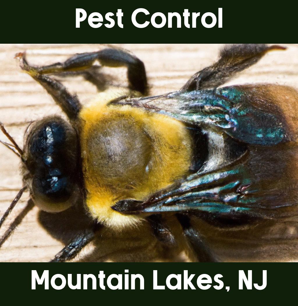 pest control in Mountain Lakes New Jersey