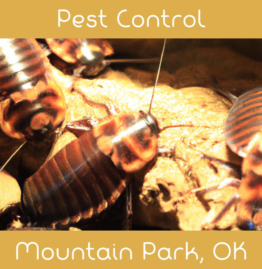 pest control in Mountain Park Oklahoma