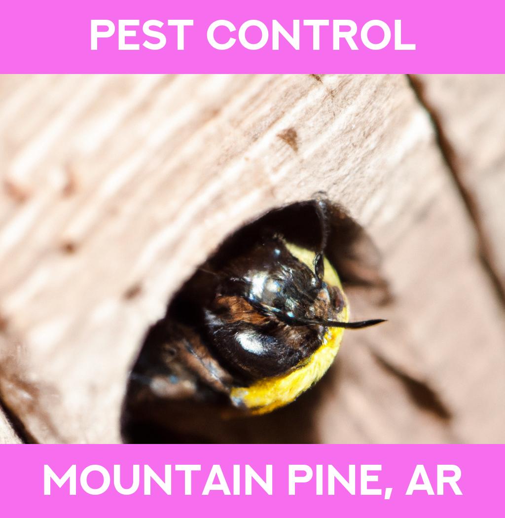 pest control in Mountain Pine Arkansas