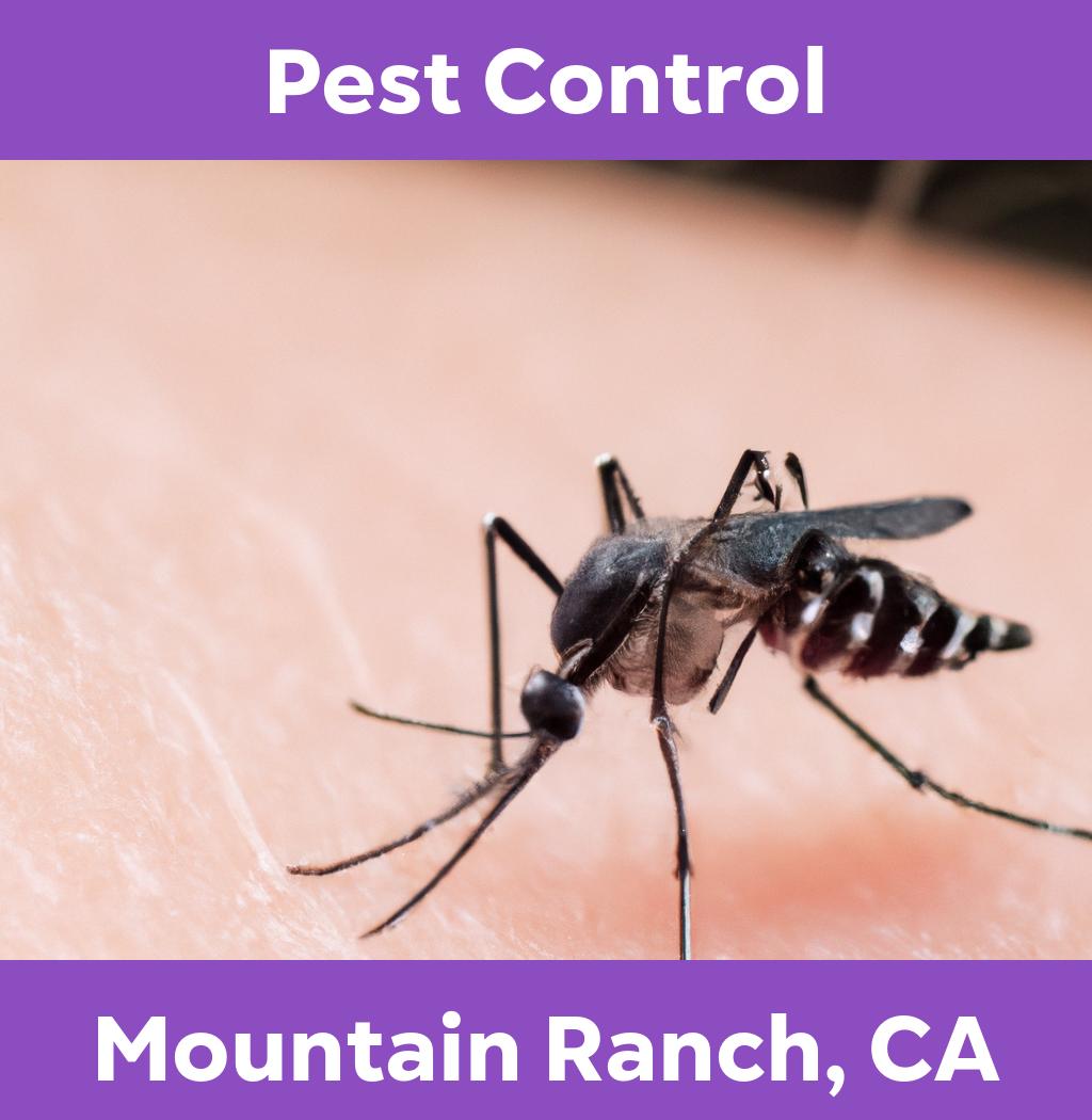 pest control in Mountain Ranch California