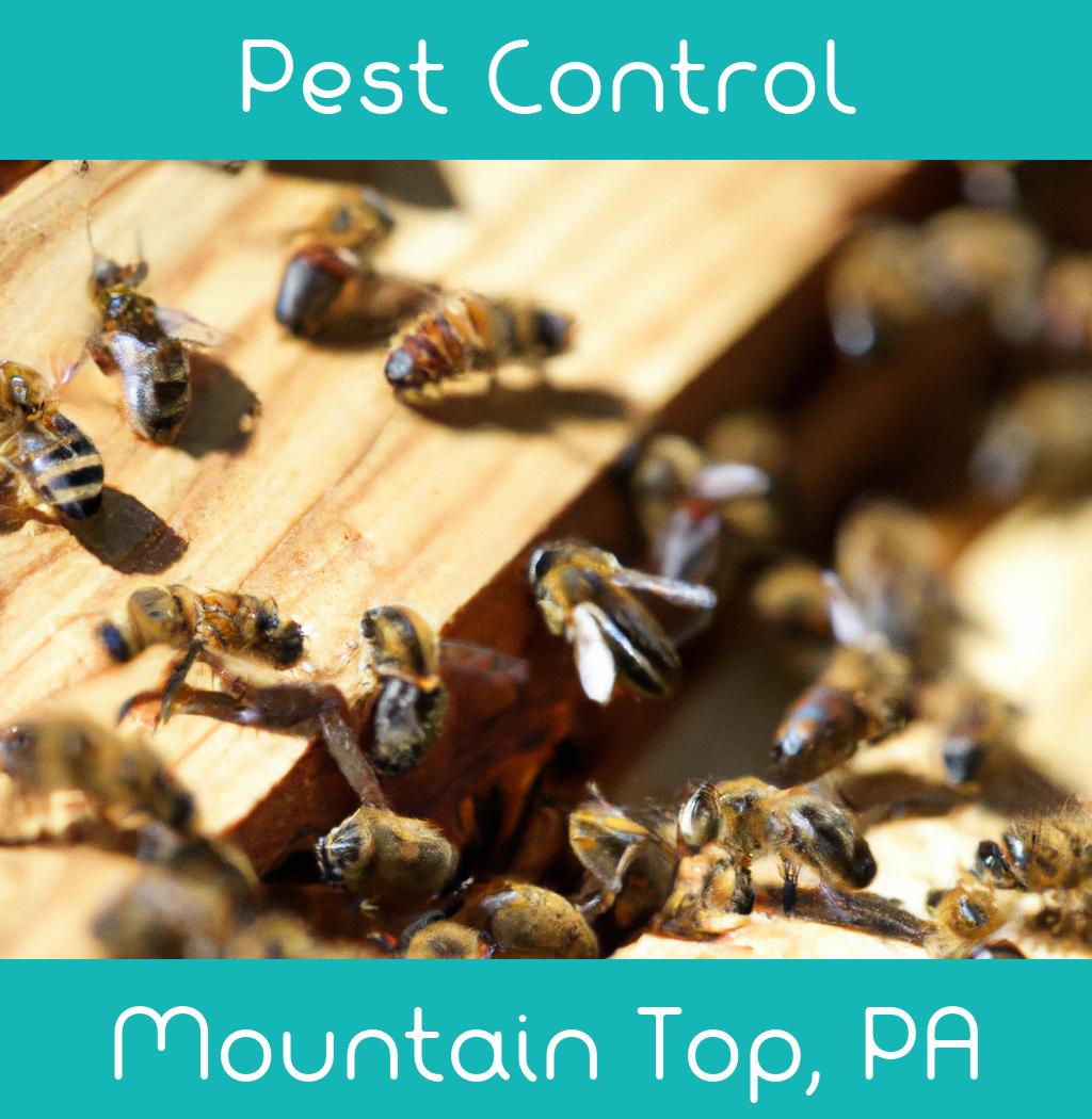 pest control in Mountain Top Pennsylvania