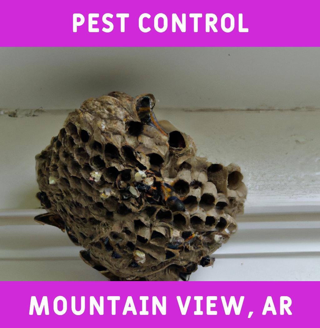 pest control in Mountain View Arkansas