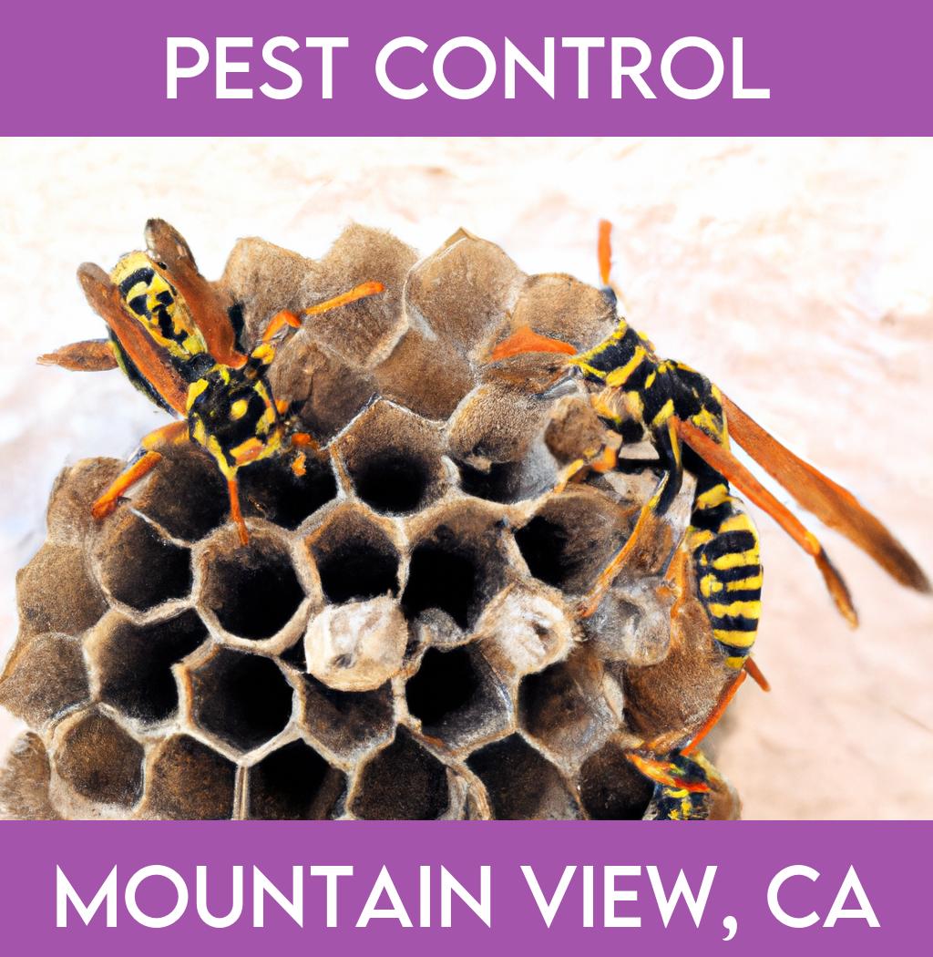 pest control in Mountain View California