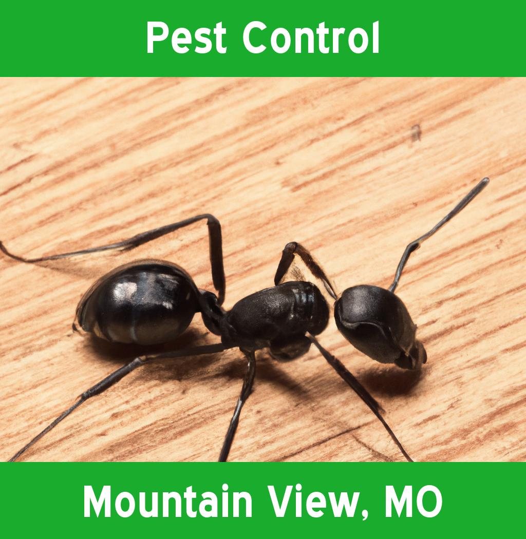 pest control in Mountain View Missouri