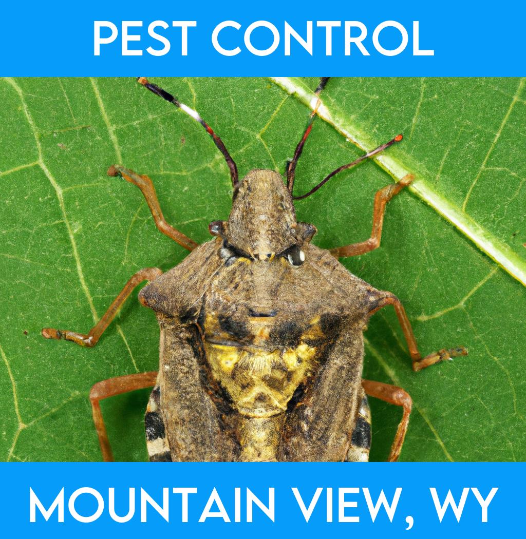 pest control in Mountain View Wyoming