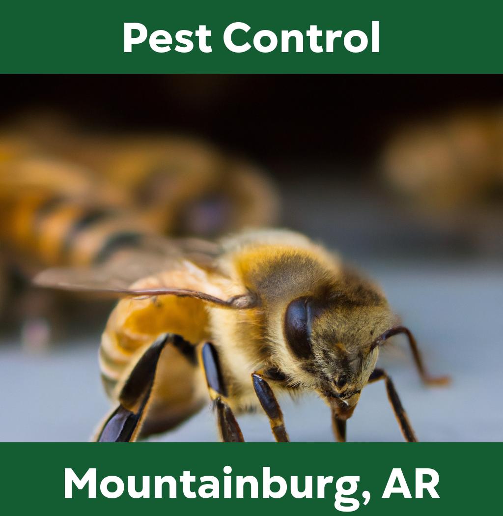 pest control in Mountainburg Arkansas