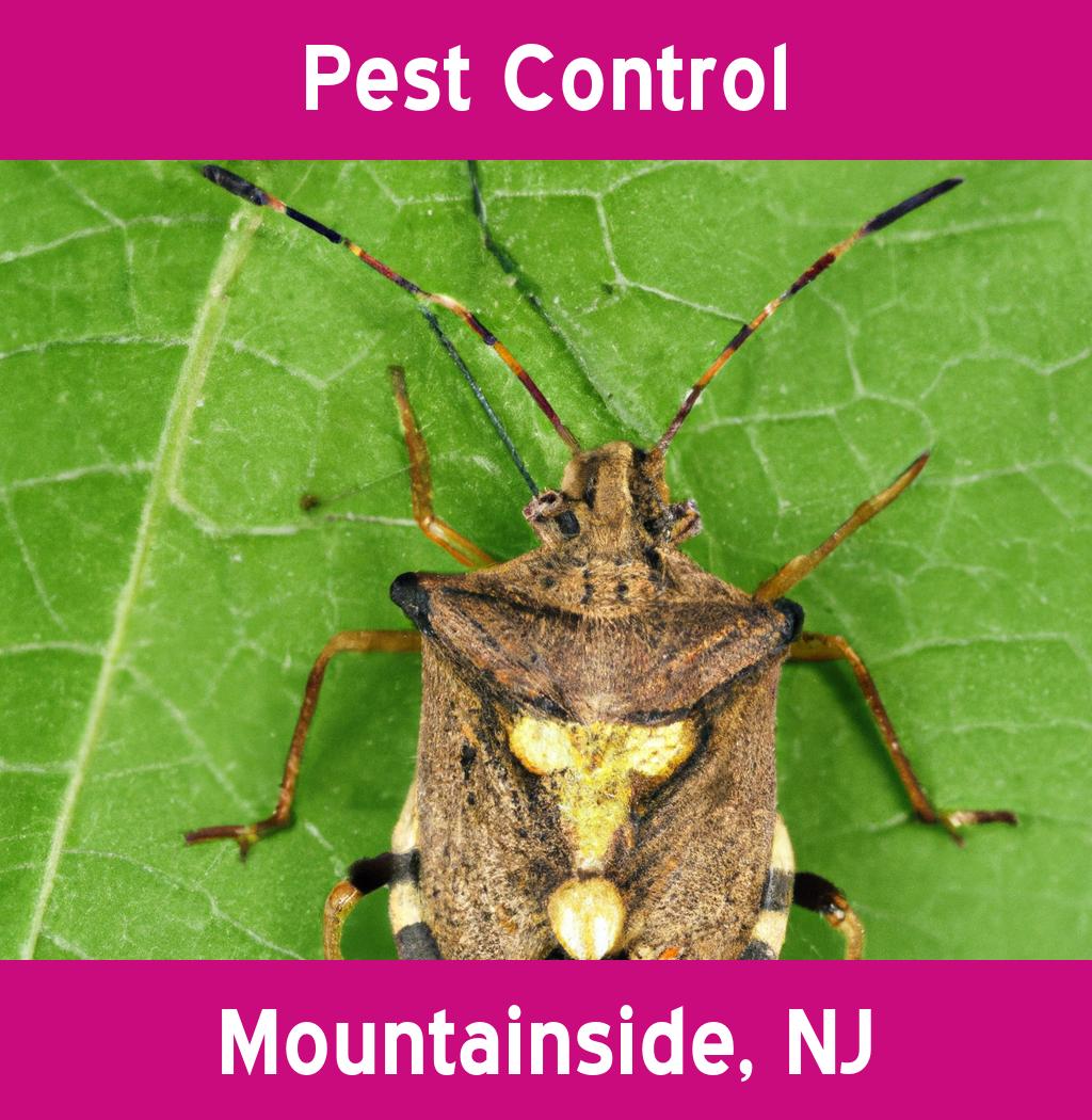 pest control in Mountainside New Jersey