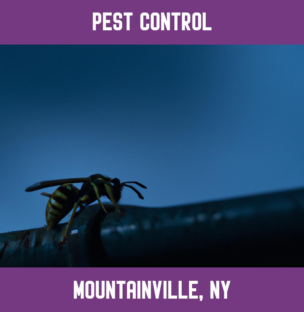 pest control in Mountainville New York