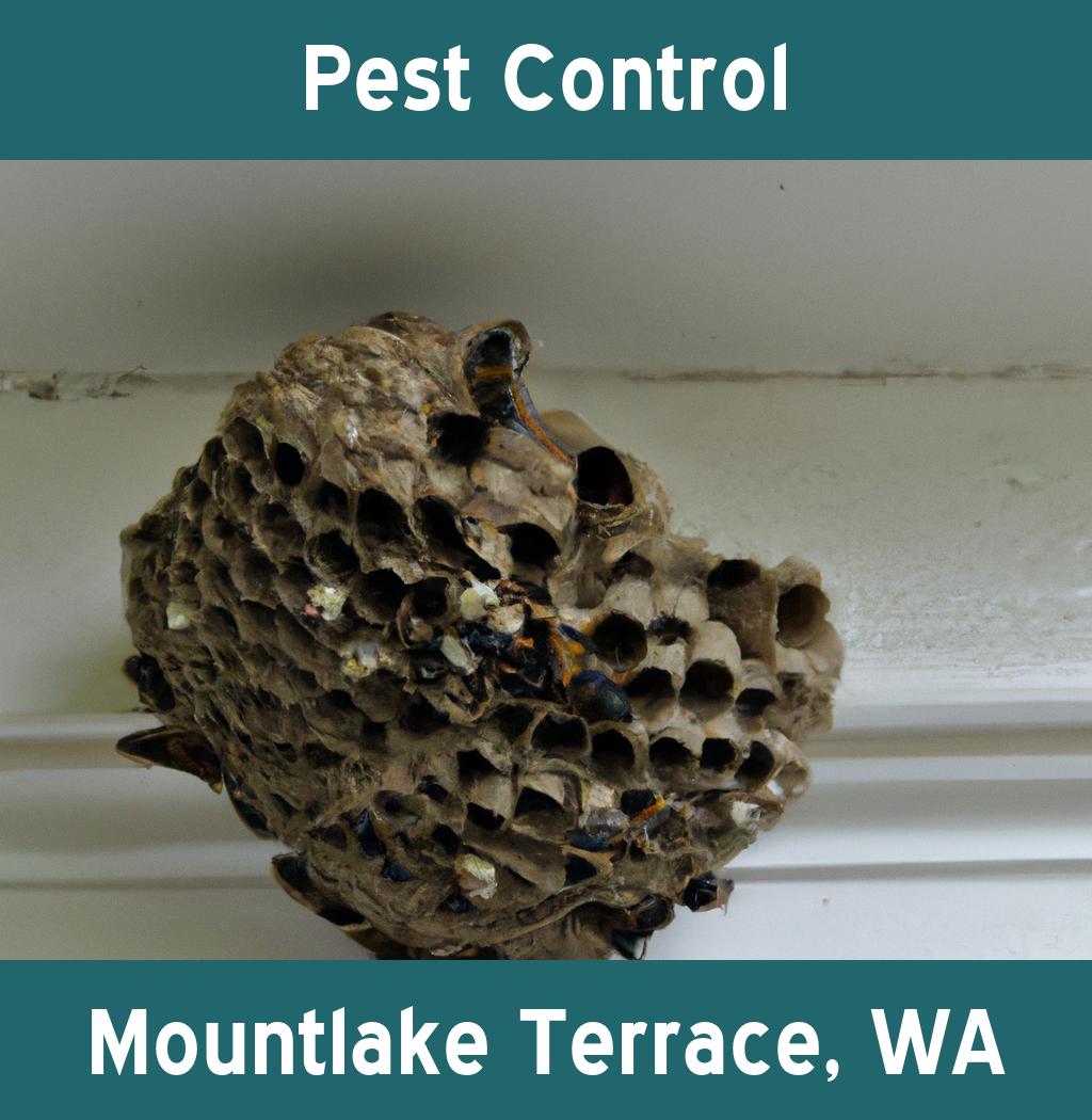 pest control in Mountlake Terrace Washington