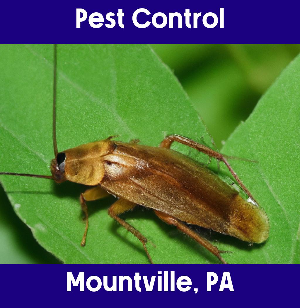 pest control in Mountville Pennsylvania