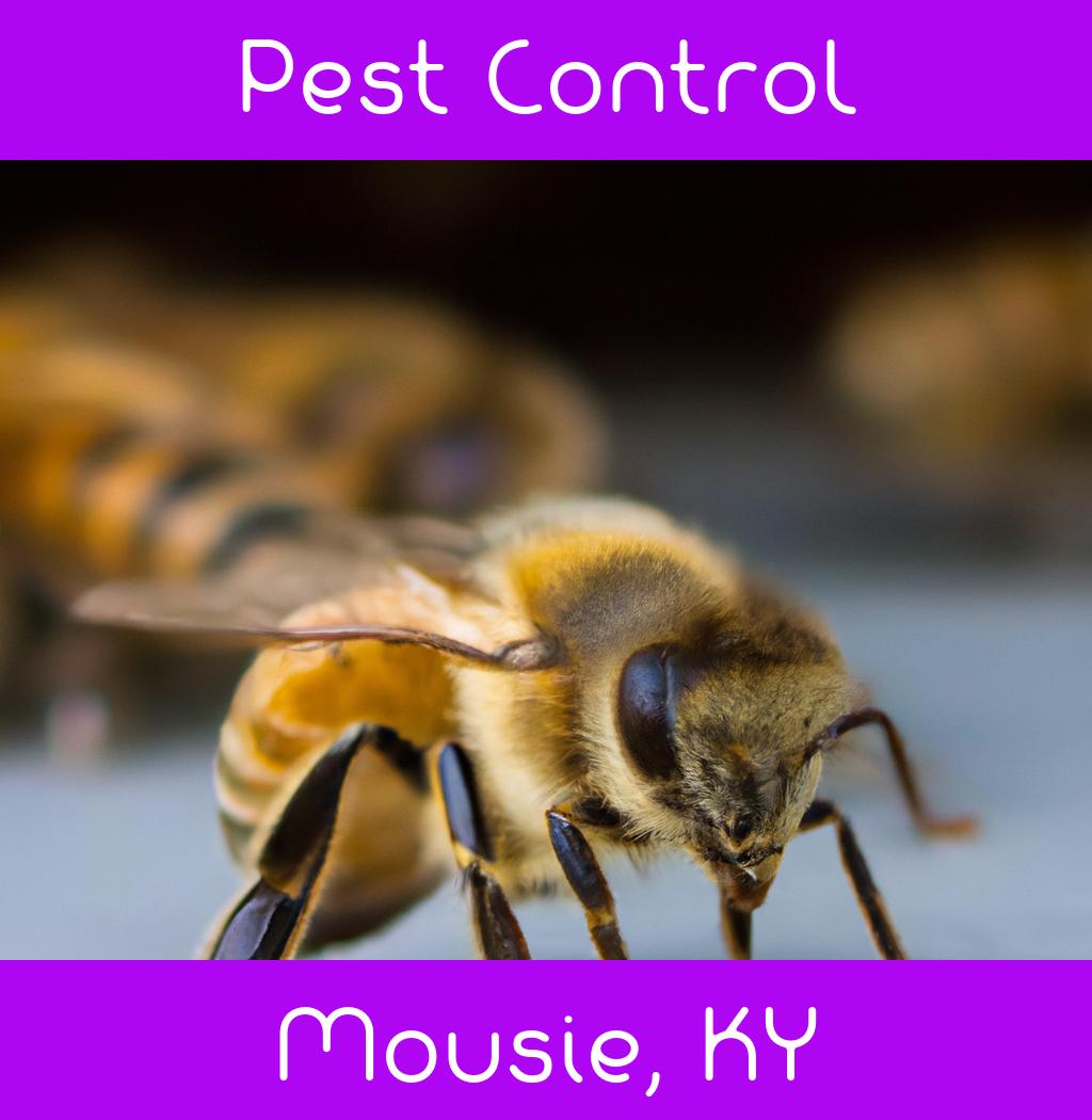 pest control in Mousie Kentucky