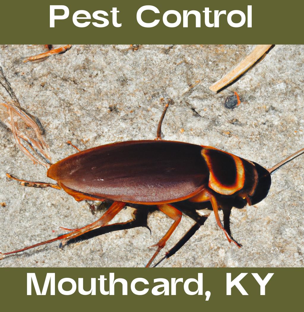 pest control in Mouthcard Kentucky