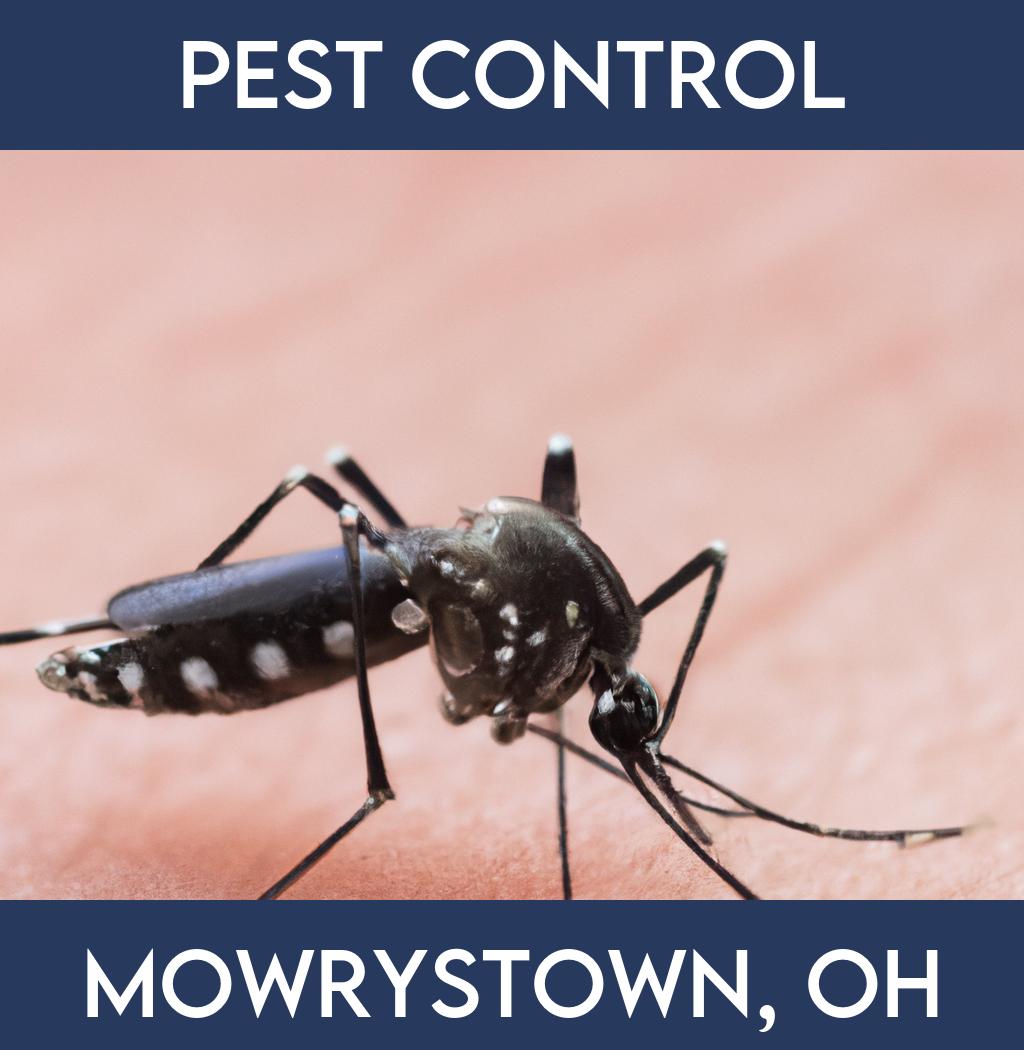 pest control in Mowrystown Ohio