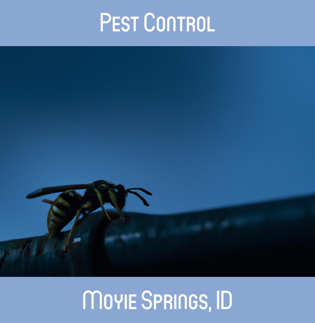 pest control in Moyie Springs Idaho