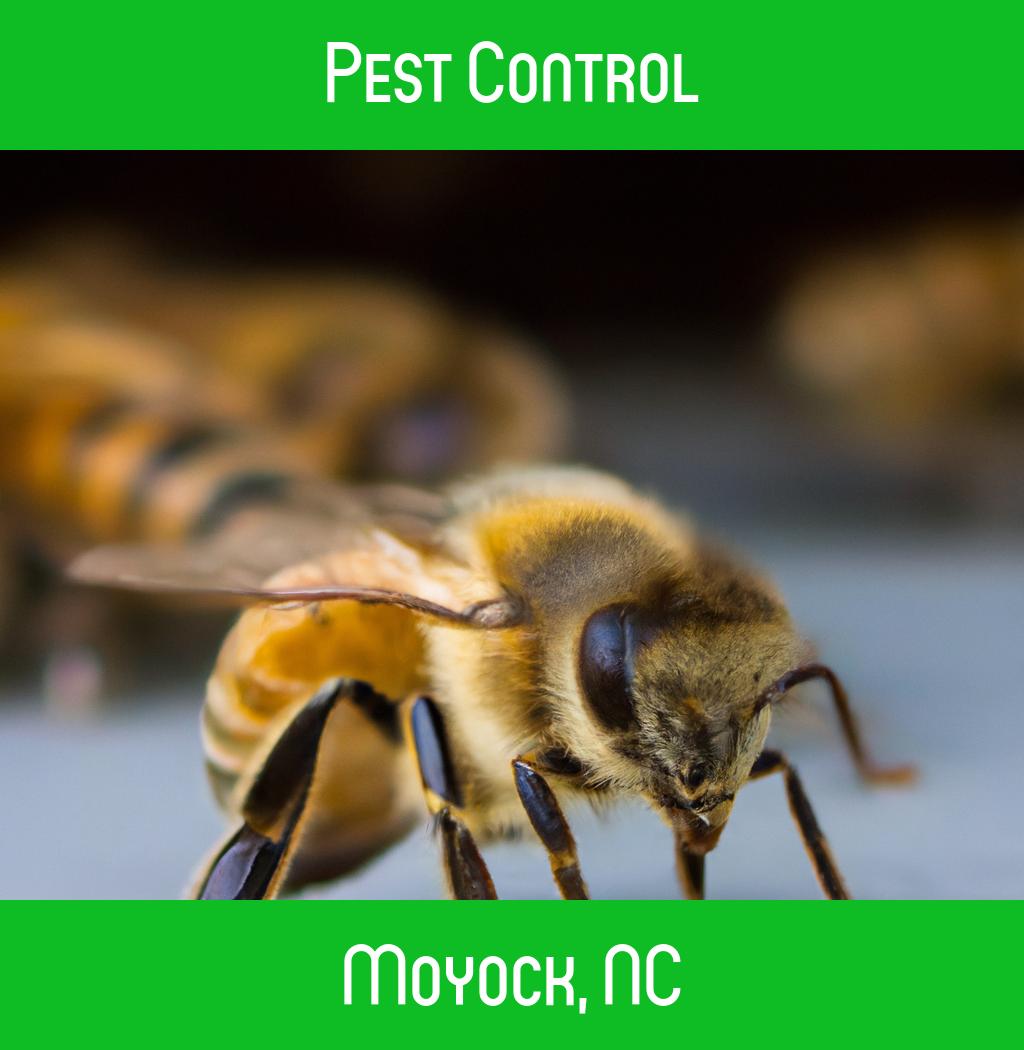 pest control in Moyock North Carolina
