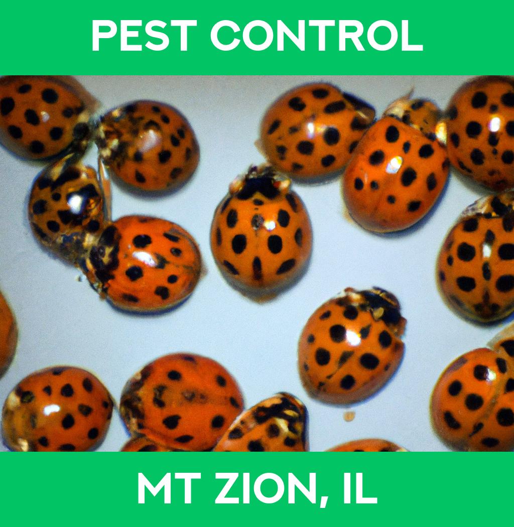 pest control in Mt Zion Illinois