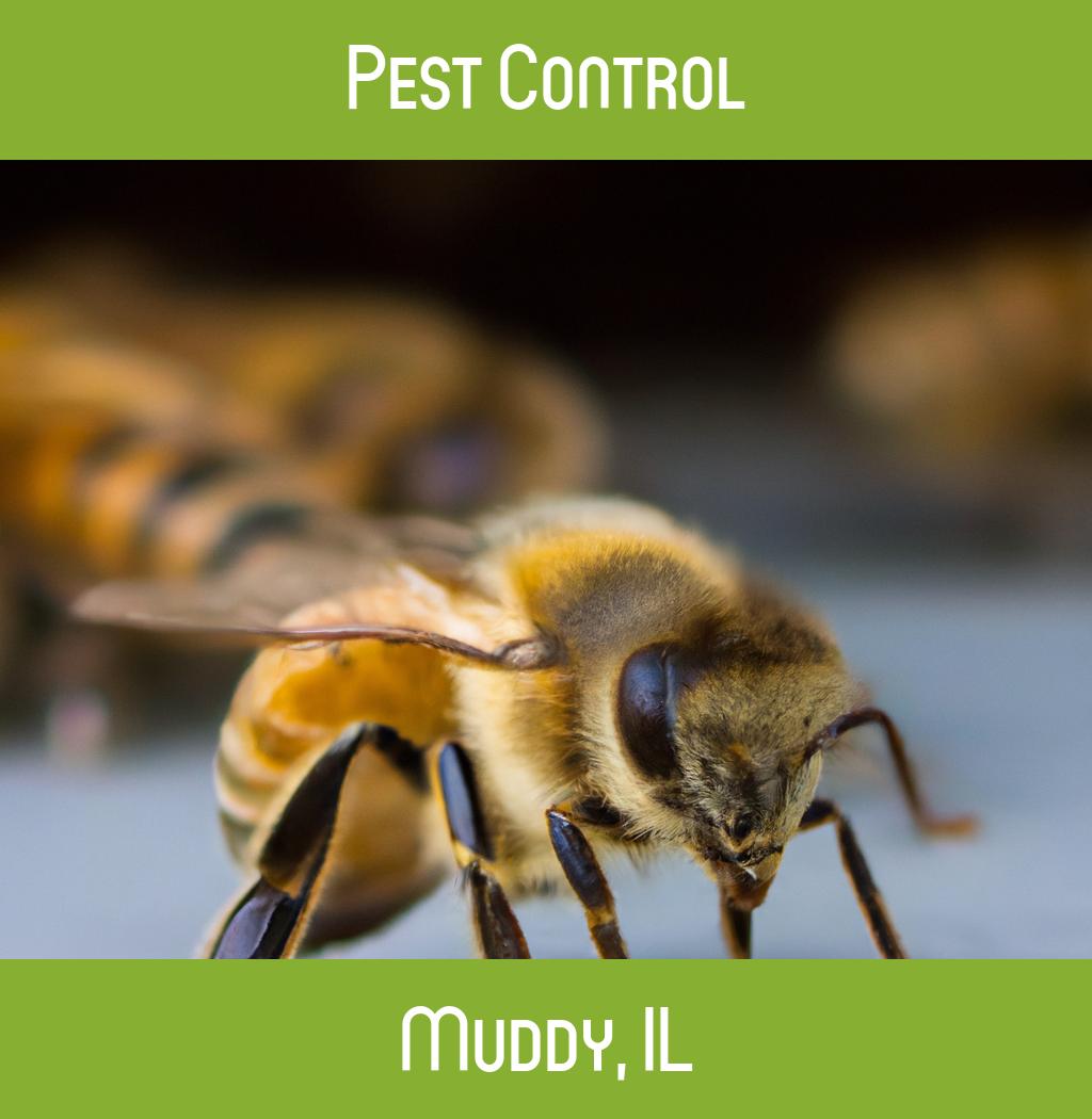 pest control in Muddy Illinois
