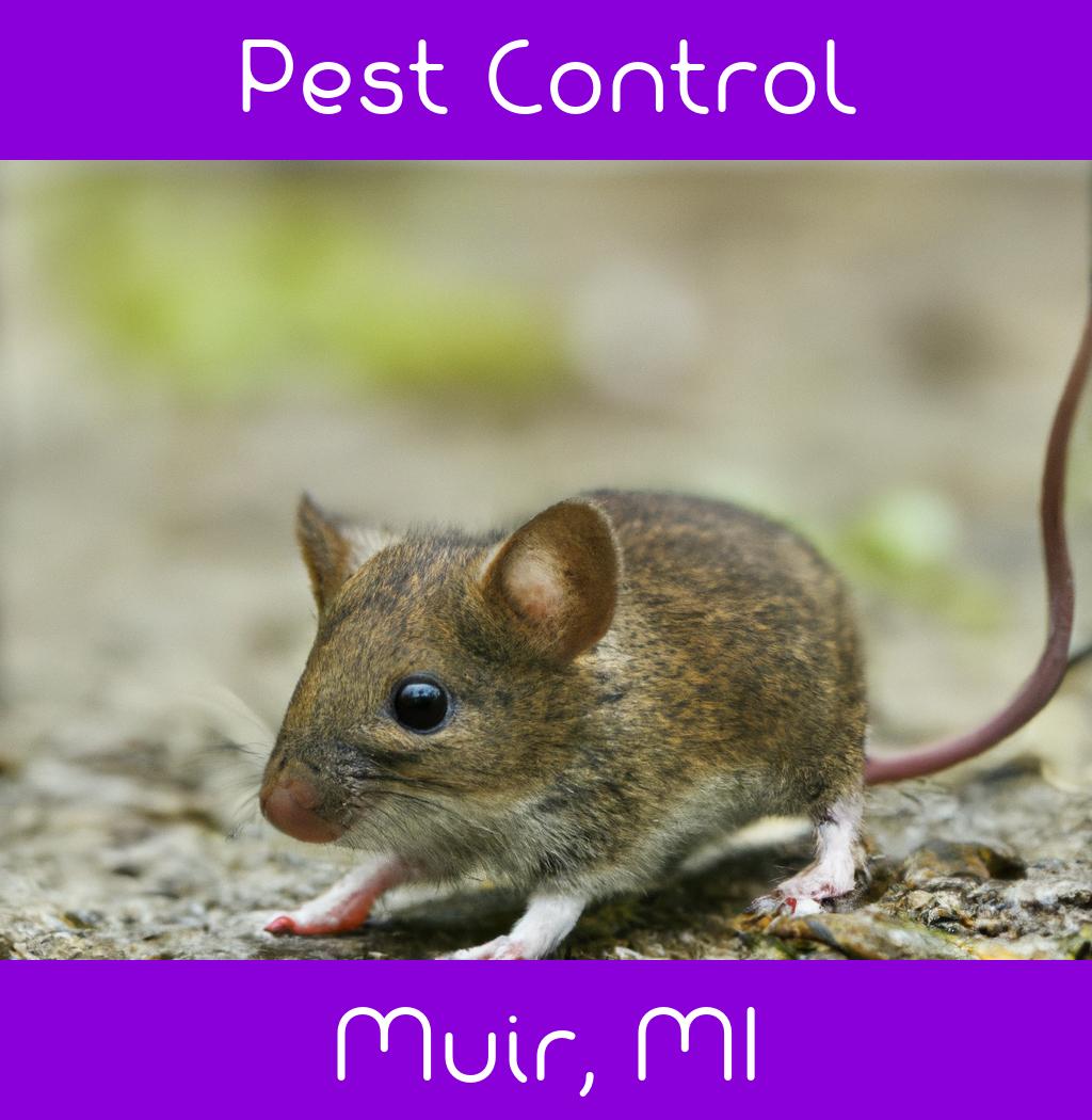 pest control in Muir Michigan