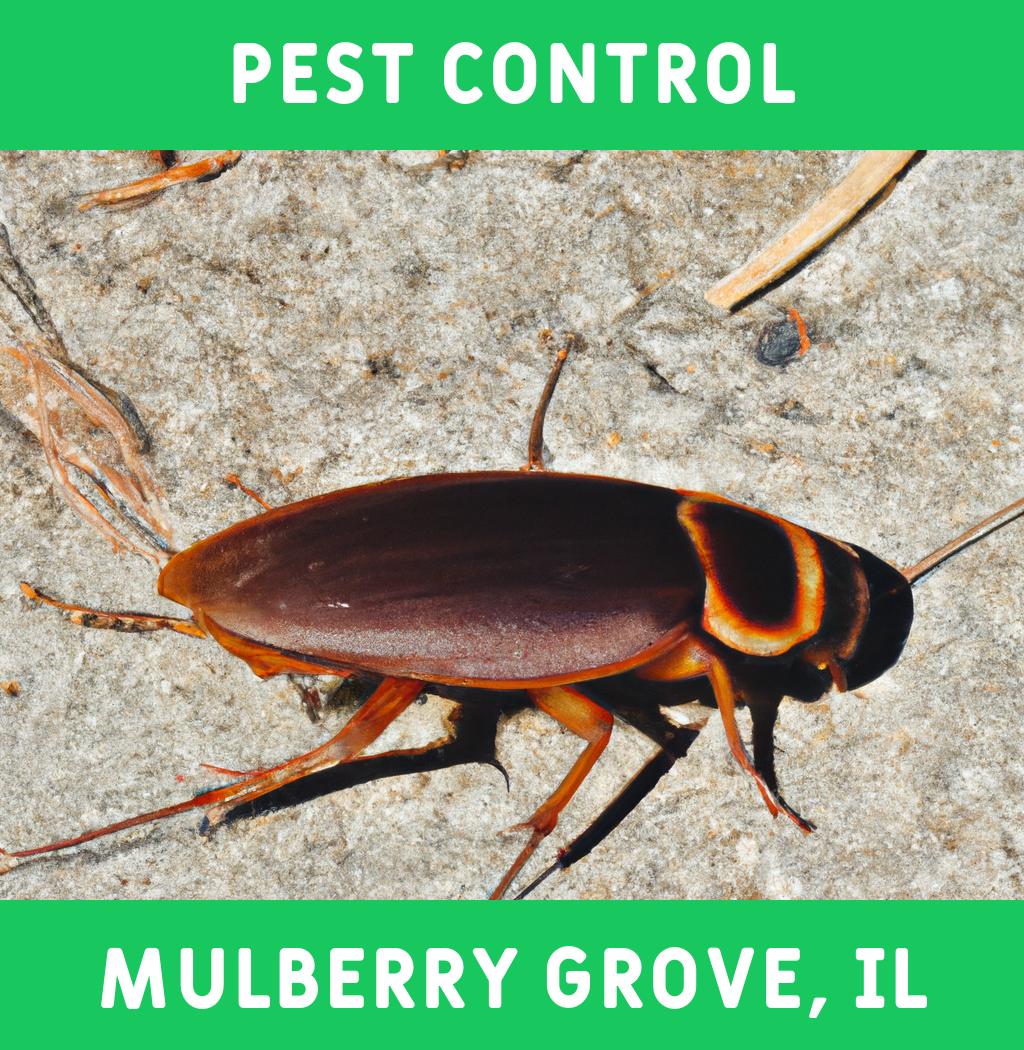 pest control in Mulberry Grove Illinois