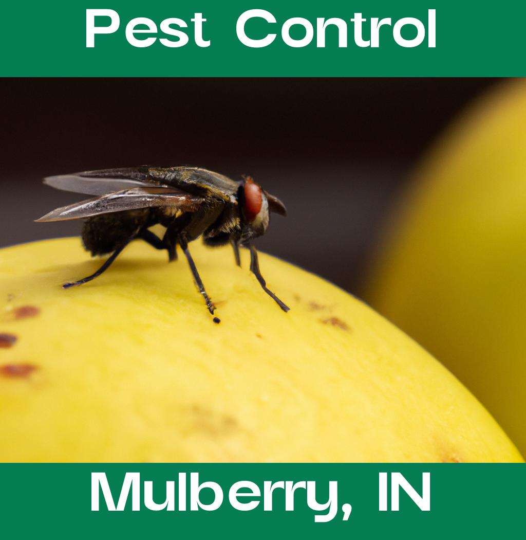 pest control in Mulberry Indiana