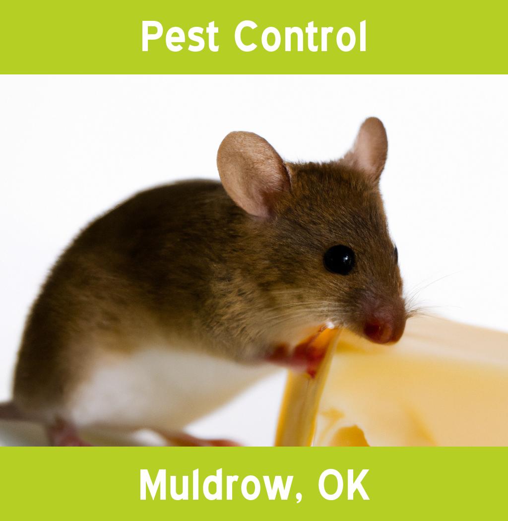 pest control in Muldrow Oklahoma