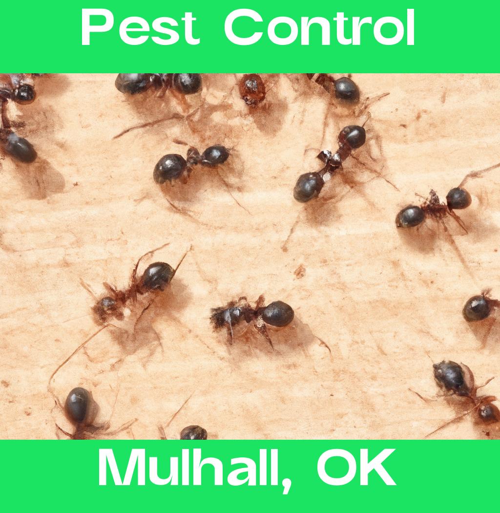 pest control in Mulhall Oklahoma