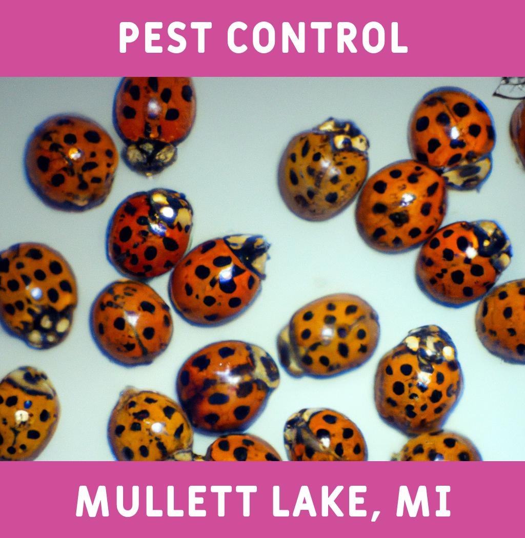 pest control in Mullett Lake Michigan