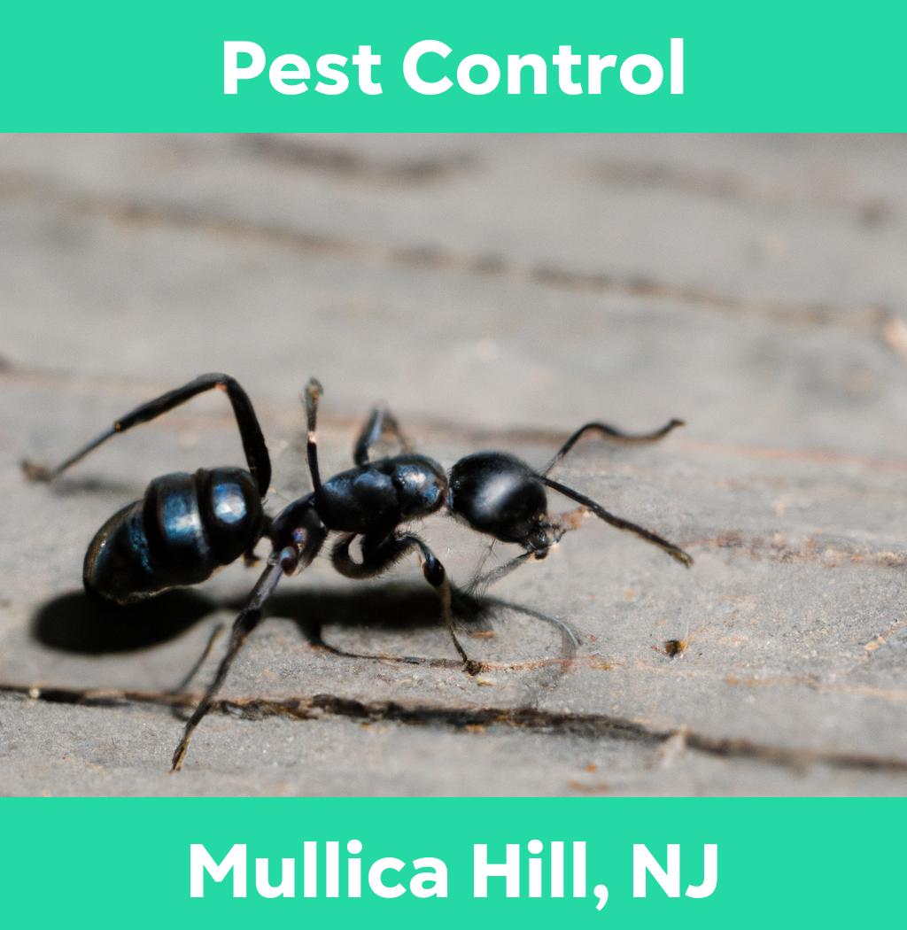 pest control in Mullica Hill New Jersey