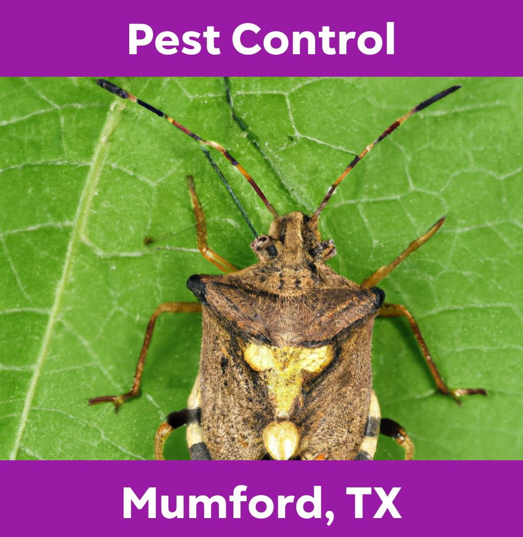 pest control in Mumford Texas