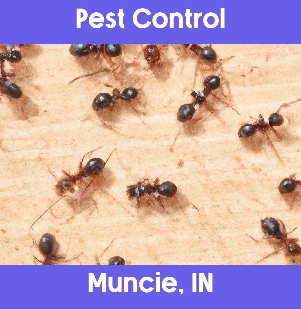 pest control in Muncie Indiana