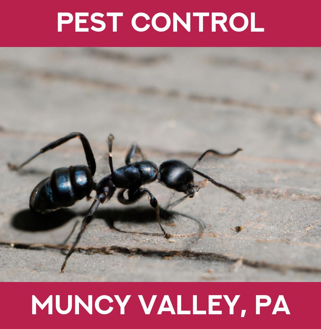 pest control in Muncy Valley Pennsylvania