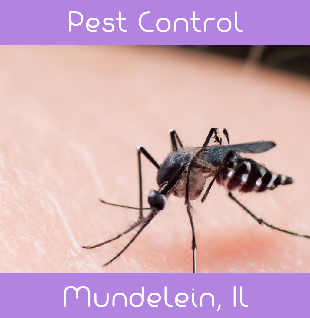 pest control in Mundelein Illinois