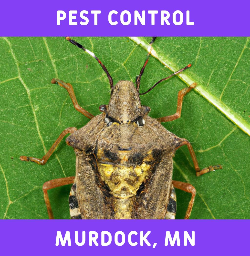 pest control in Murdock Minnesota