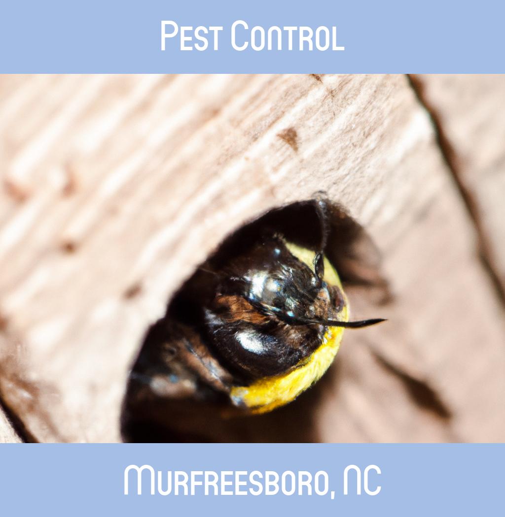 pest control in Murfreesboro North Carolina