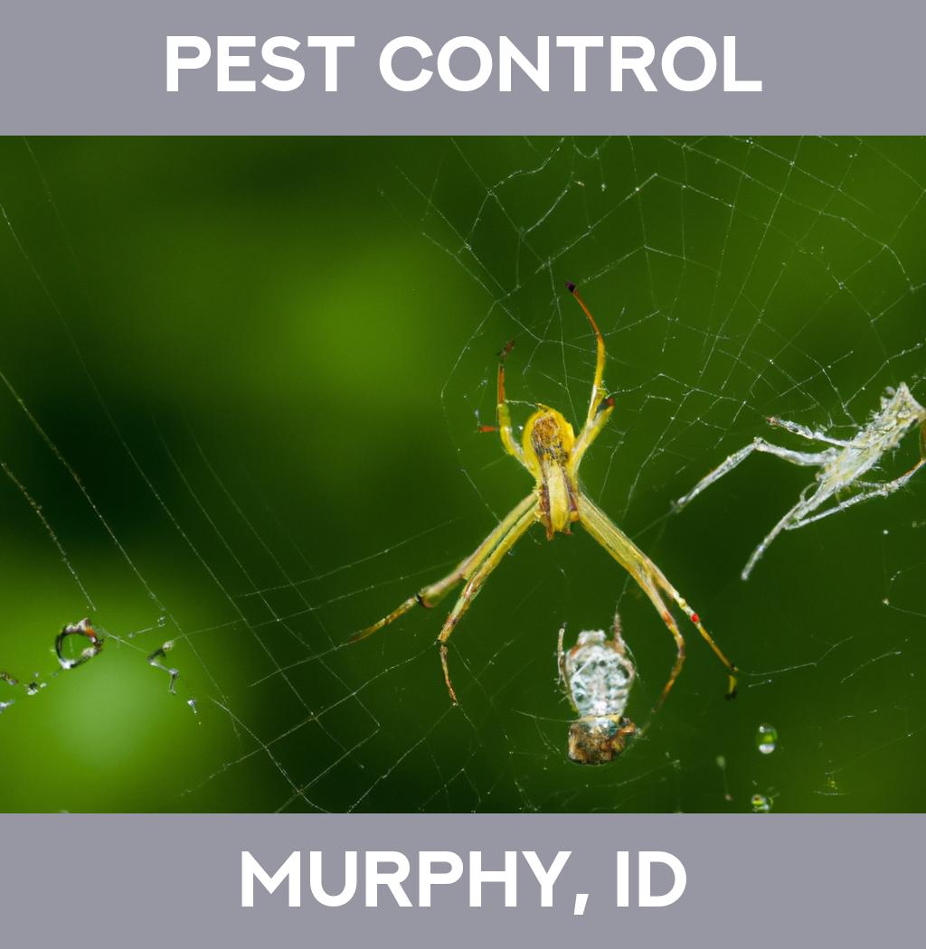 pest control in Murphy Idaho